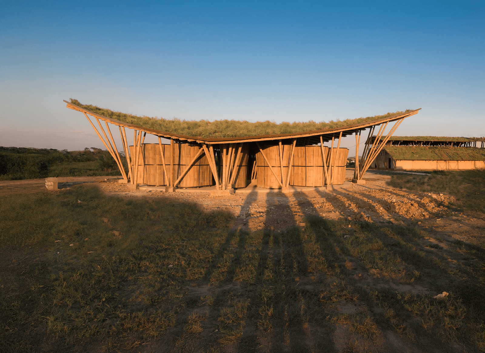 Bamboo architecture and construction