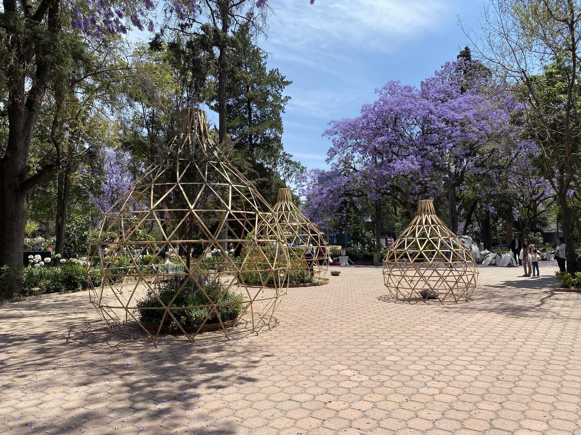 Fyja - fyja-portada.jpg