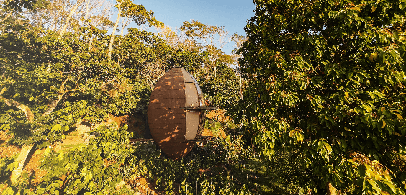 Bamboo architecture in nature