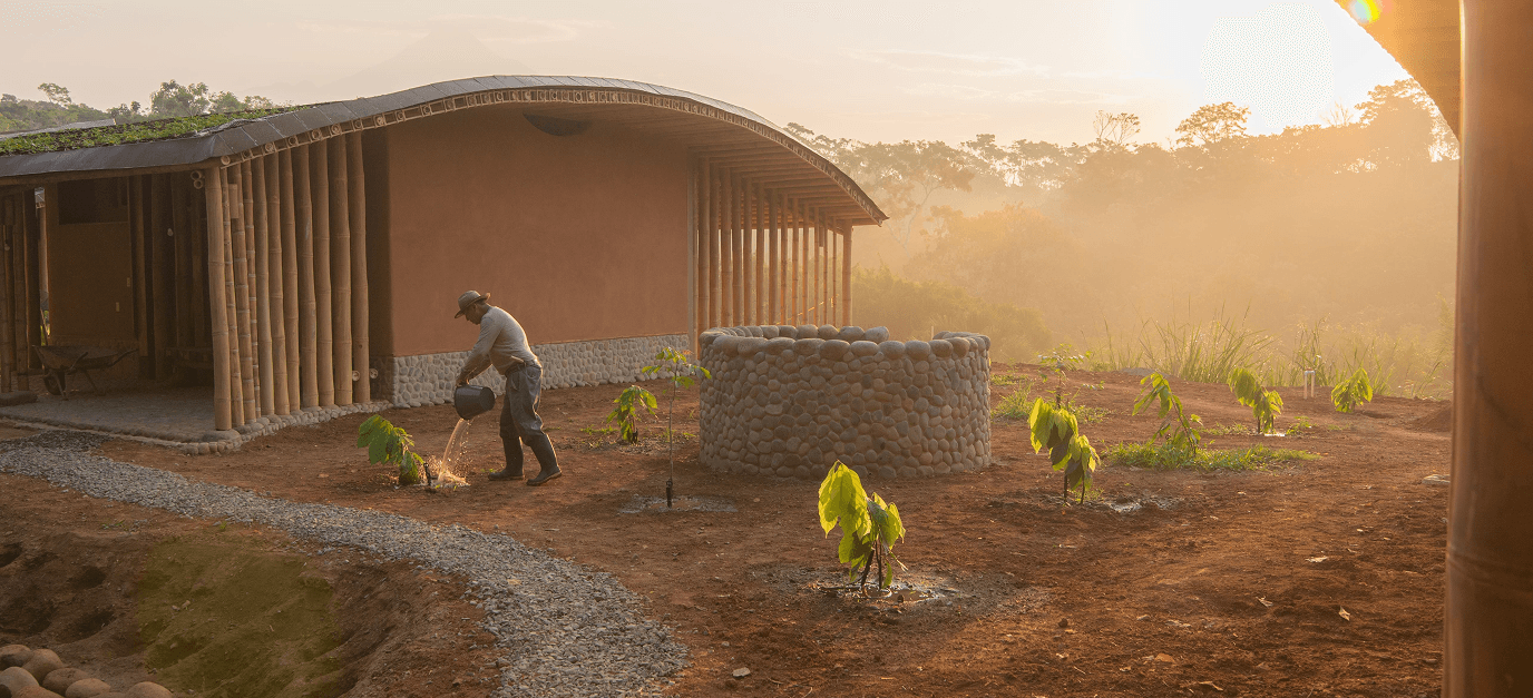 Green roof building with gardener