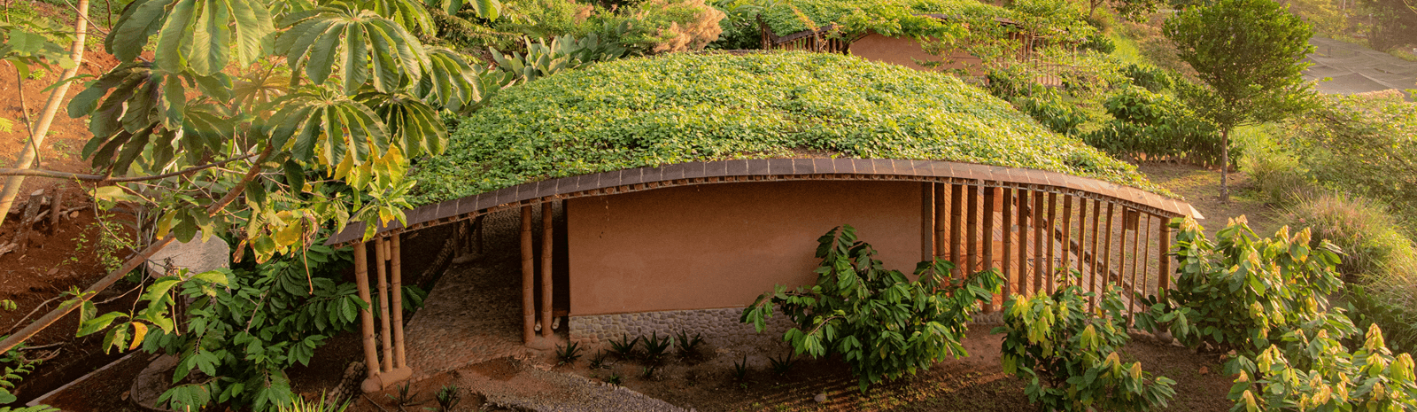 Bamboo architecture building