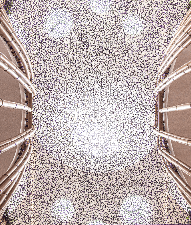 Humanitrek Caucasio project