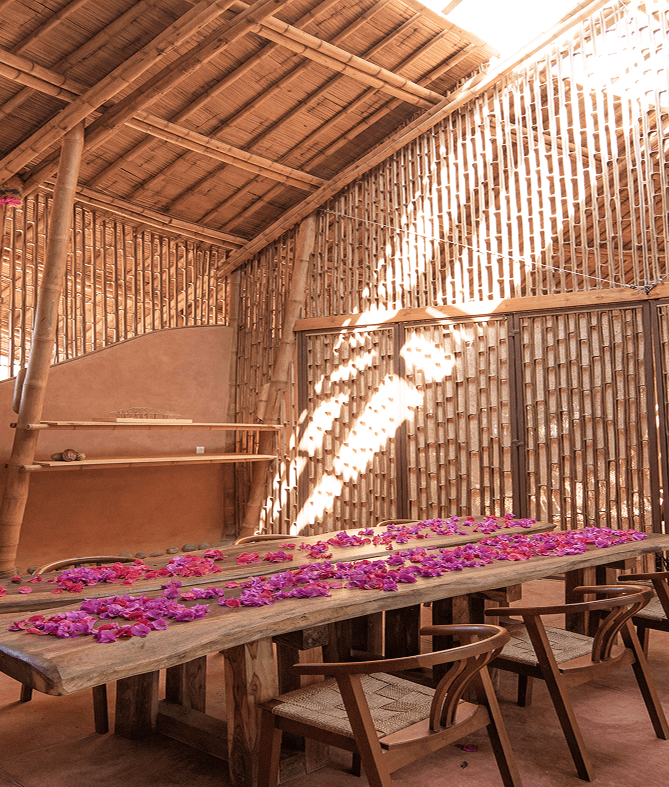 Pabellón Semilla project